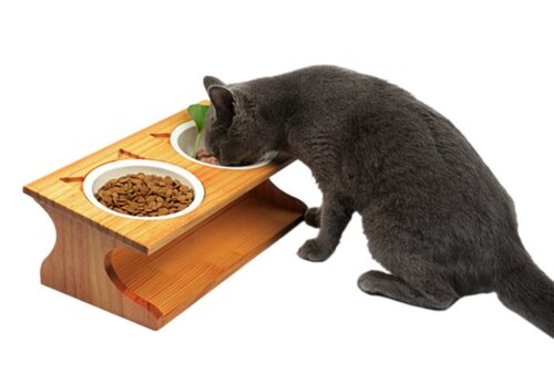 platos dobles para gatos no es natural